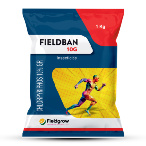 Fieldban-10G