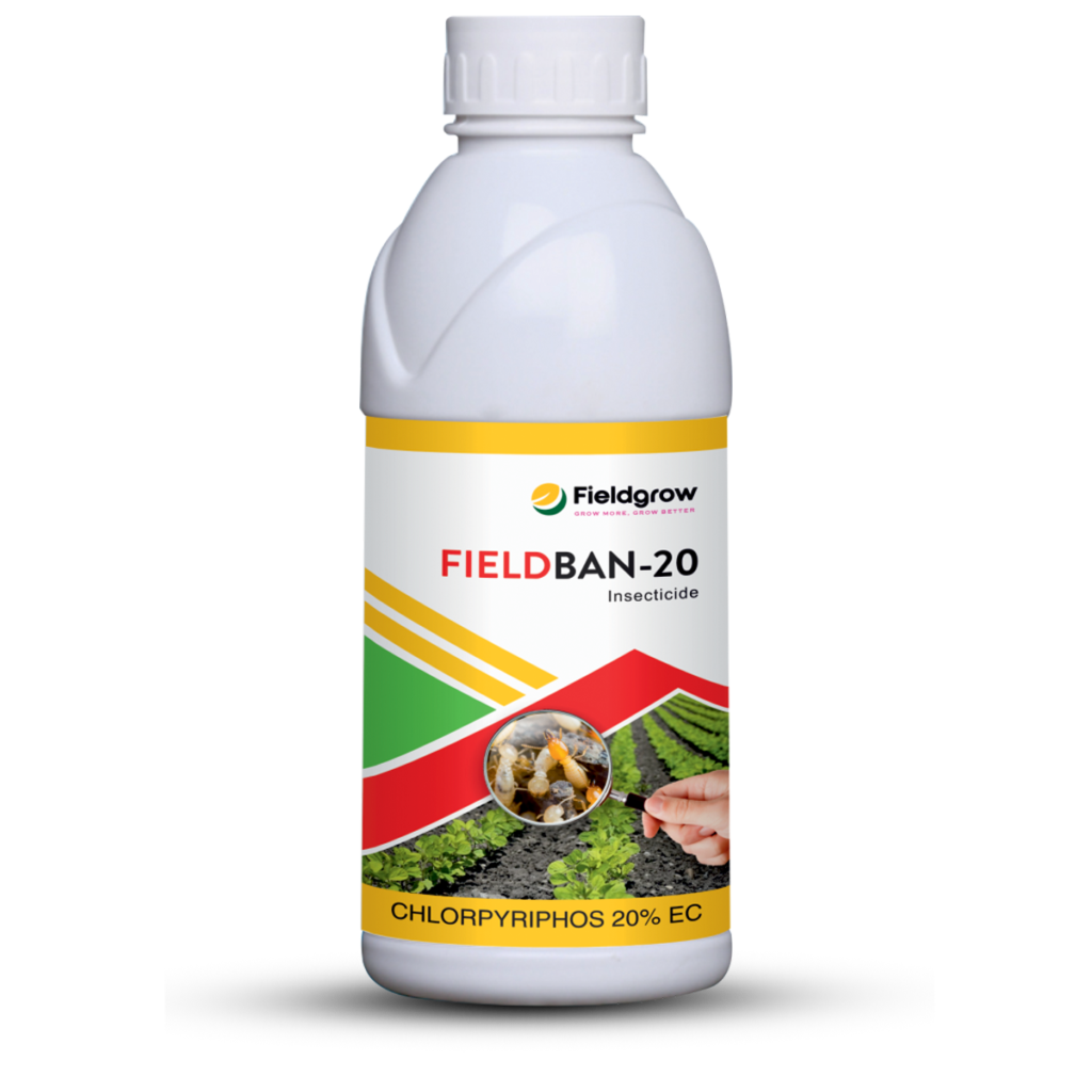 Fieldban-20