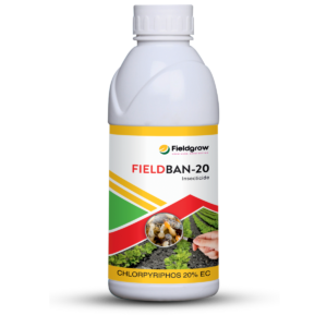 Fieldban-20