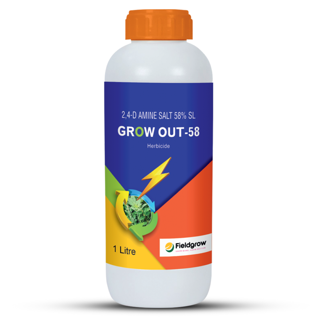 Grow Out 58