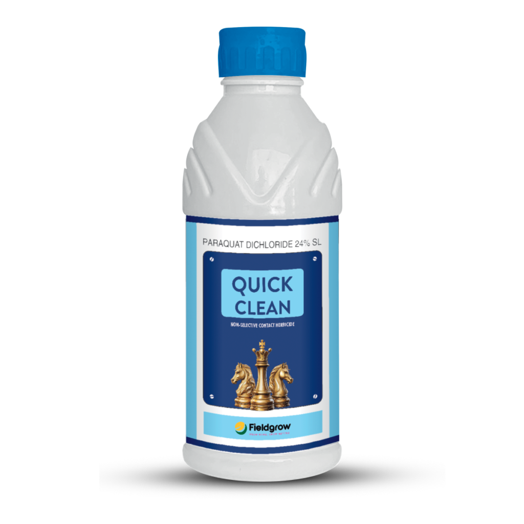 Quick Clean