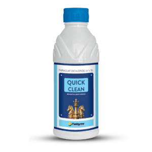 Quick Clean