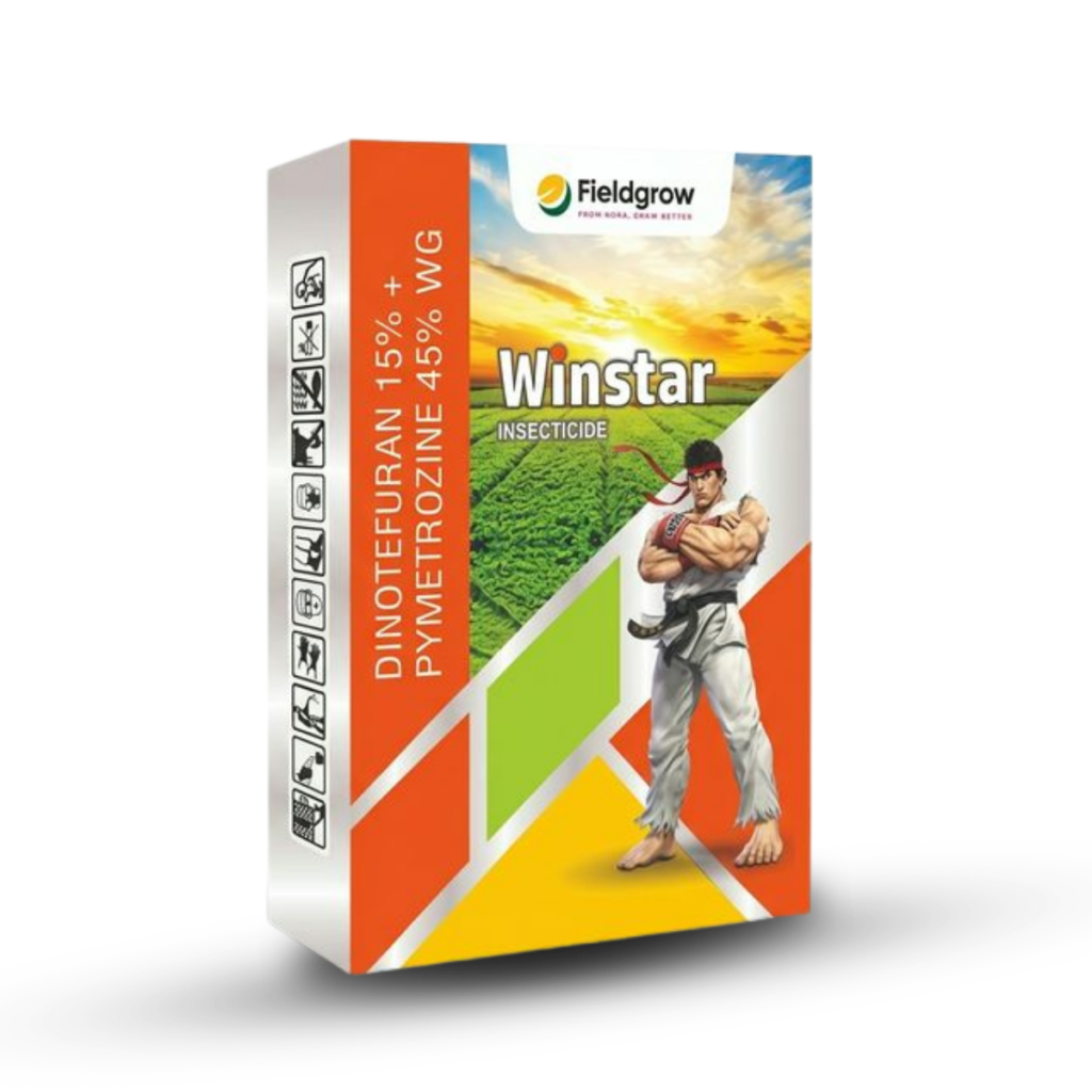 Winstar