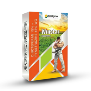 Winstar