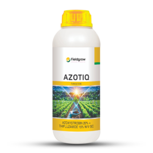 Azotiq