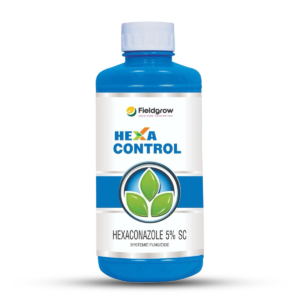 Hexacontrol